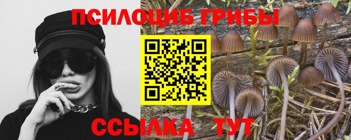 Псилоцибиновые грибы Cubensis Ртищево